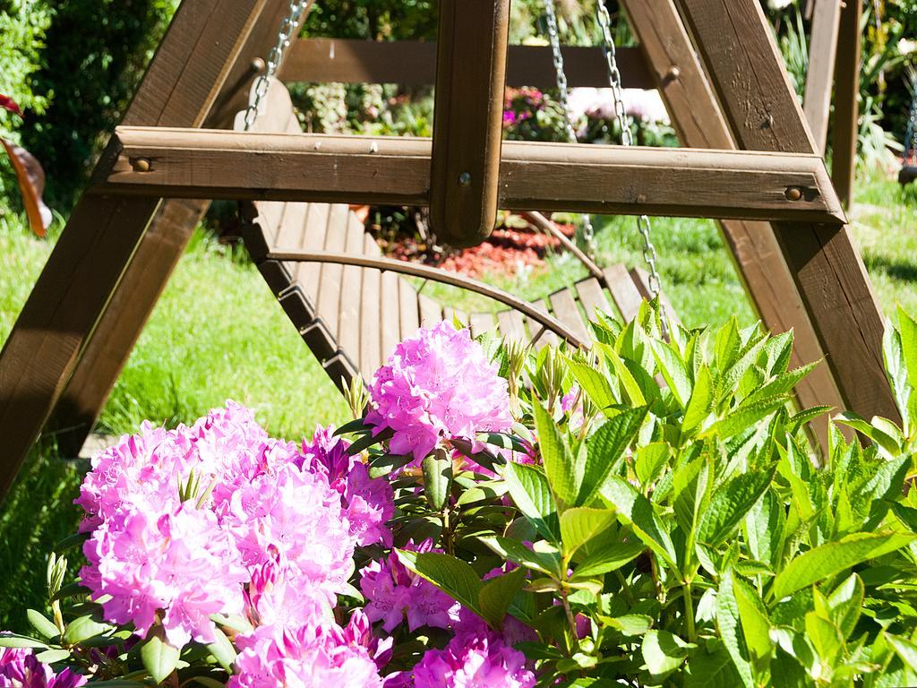 Sloneczny Dwor Bed & Breakfast Krynica Morska Luaran gambar